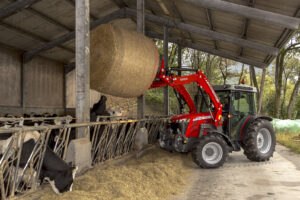 Machine AGCO - Massey ferguson donnant de la paille à des vaches